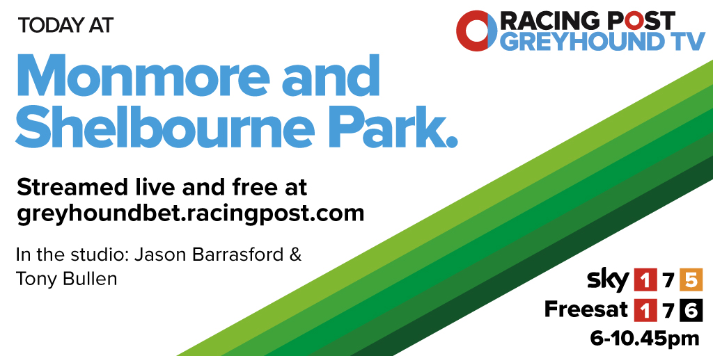 racingpost greyhoundbet