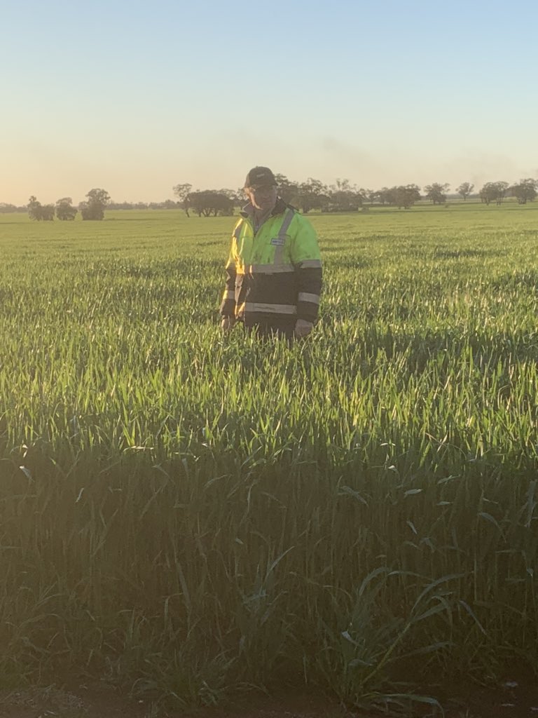 Peter Sexton tweet media