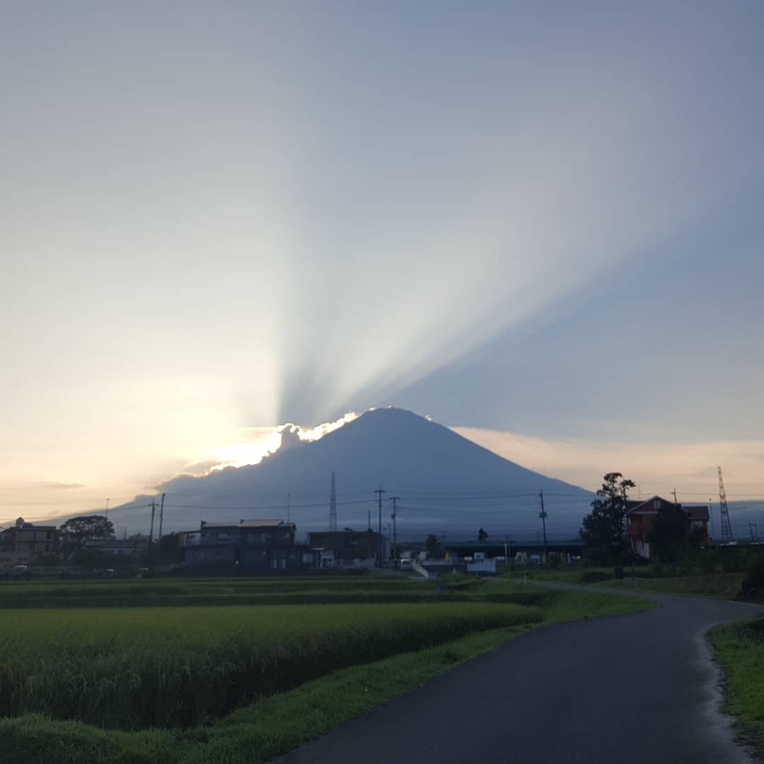 94S8m3gugZ8bzAb's tweet photo. #Goodnight
#kintokizan #富士山大好き #富士山love #富士山山麓 #gotembagram #ごて��ら2020 #ごてなつ2020 #rinbow #mountains🗻 #mountainview #mountainlife #mountain_world #japan #MtFuji #mountain #sunset #goodmorning #入道雲 #秋の気配 #sunset_love #dandelion #夕暮れ https://t.co/lytgMS6S7r