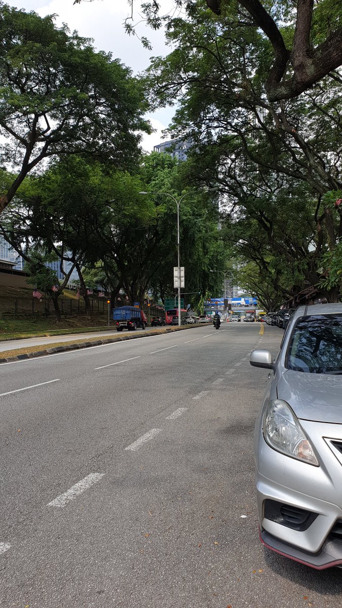 Now you masuk this lovely avenue lined w (rain?)trees. I love roads liddis w magnificent trees providing a cool archway. This  the heat immensely, absorbs pollution from cars, reduces dust & gives u fresh O2. Pls tell all your MPKJs/MPPJ/DBKL wtv to stop cutting down trees.