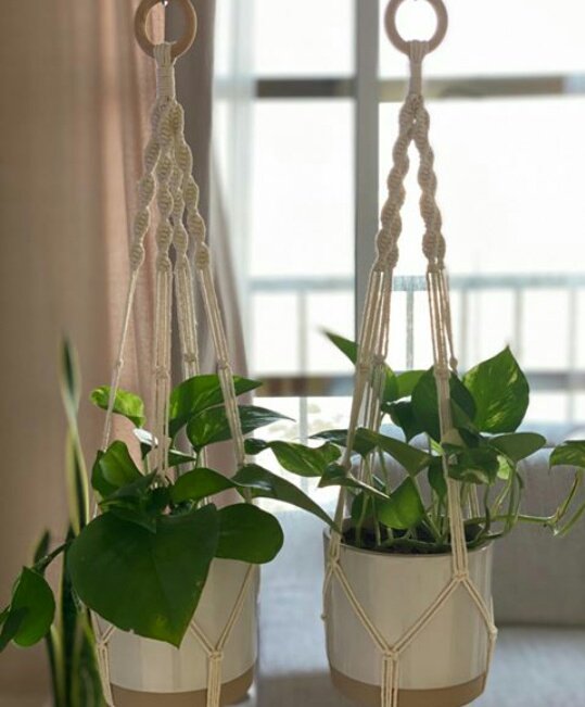 CoHlangu's tweet photo. Hey guys! I've recently launched my handcraft business called hlangu&amp;Co. I'm so excited that I'm giving away THREE macramé plant hangers to lucky followers.  🍃

All you have to do is retweet, follow and tag 3 friends under this post. 

Wakanda forever | Bolt| Cyril |DJSBU https://t.co/0KxhAUzCF6