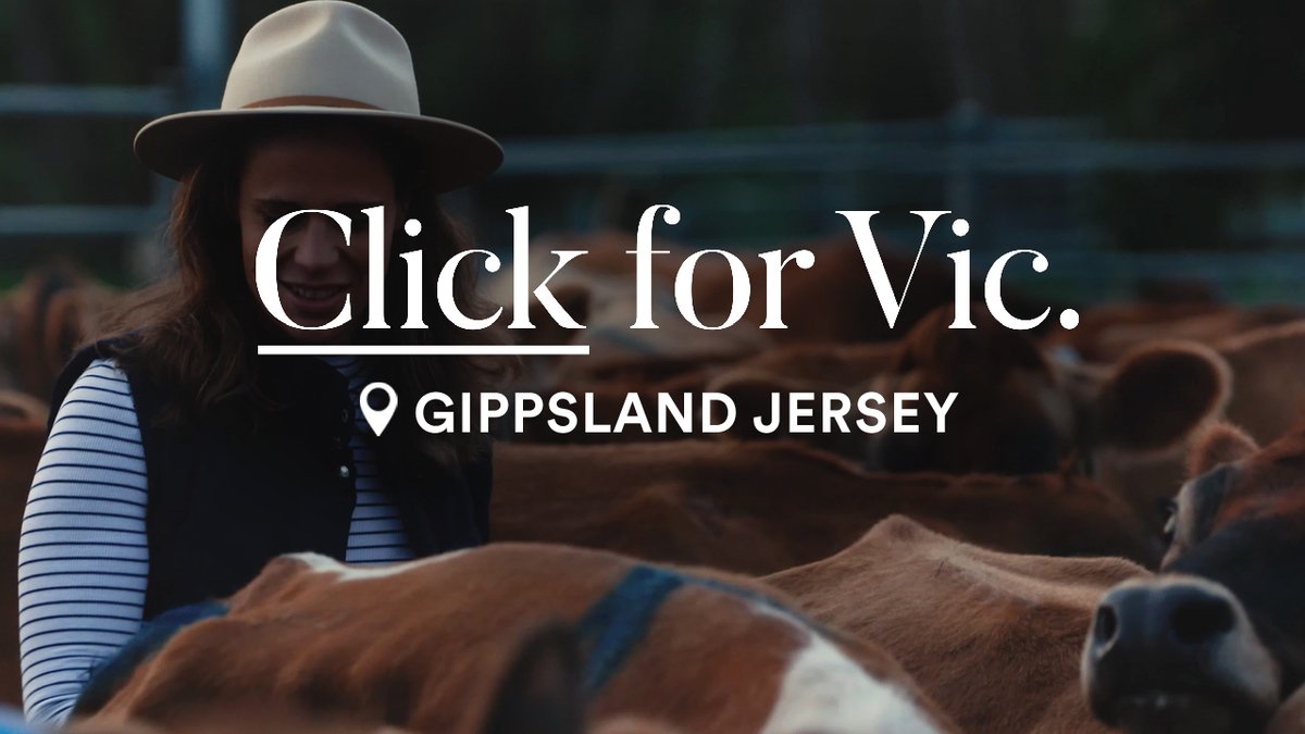 Melbourne, Australia (@melbourne) on Twitter photo Meet Sallie Jones. Born into a dairy farming family, she's the woman behind Gippsland Jersey based in the heartland of dairy and food-bowl of Australia #ClickForVic
WATCH 📽️ | bit.ly/2YxJ09w Meet Sallie Jones. Born into a dairy farming family, she's the woman behind Gippsland Jersey based in the heartland of dairy and food-bowl of Australia #ClickForVic
WATCH 📽️ | bit.ly/2YxJ09w