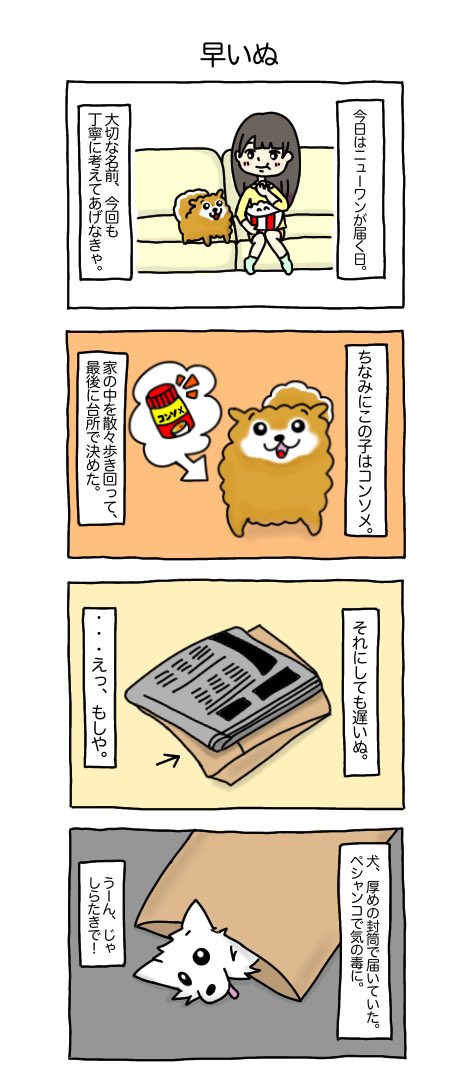 私の飼ってる不死身の犬、コンソメとしらたきの話です。両犬出揃いました。#コンしら 