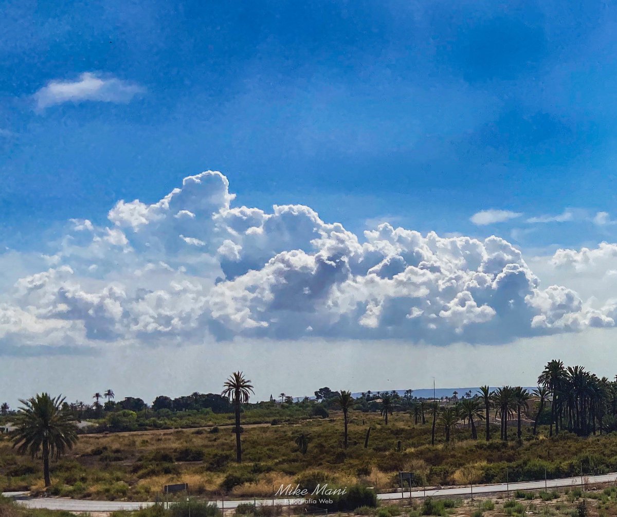 MikeFotoLife's tweet photo. Buenas nubes ⛅️ nos acechan...
.
Pronóstico de lluvia 🌧 de 14:00 a 21:00 🕘 . Sí, ahora soy el hombre del tiempo 🤣🤣🤣
.
MOMENTOS DEL AMANECER.
Entre palmeras.
.
#elche #elx #fotografía #photography #nubes #clouds #rainningday #díadelluvia #estadiomartinezvalero @visitelche https://t.co/FmPj7rROpH