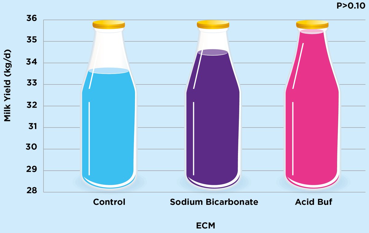 Replacing sodium bicarb with Acid Buf creates dietary space. Jack Lister, Dairy Technical Specialist at Land O’Lakes US, recently said ‘diets where performance is high and space is crucial I’ve had situations where using Acid Buf saved 21-22cents per cow/day over using bicarb.