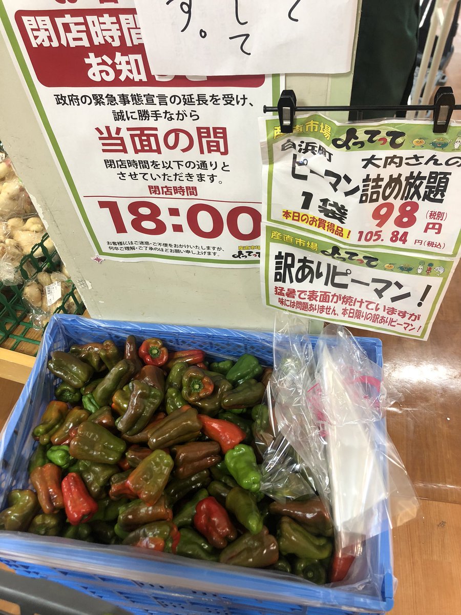 AssassinMegane's tweet photo. ピーマンの詰め放題があったのでまぁやるよね、、、
一人暮らしにこのピーマンの量はきついよ😥
ピーマン料理つくります!!
#homoscience https://t.co/CdoGL2ebWQ
