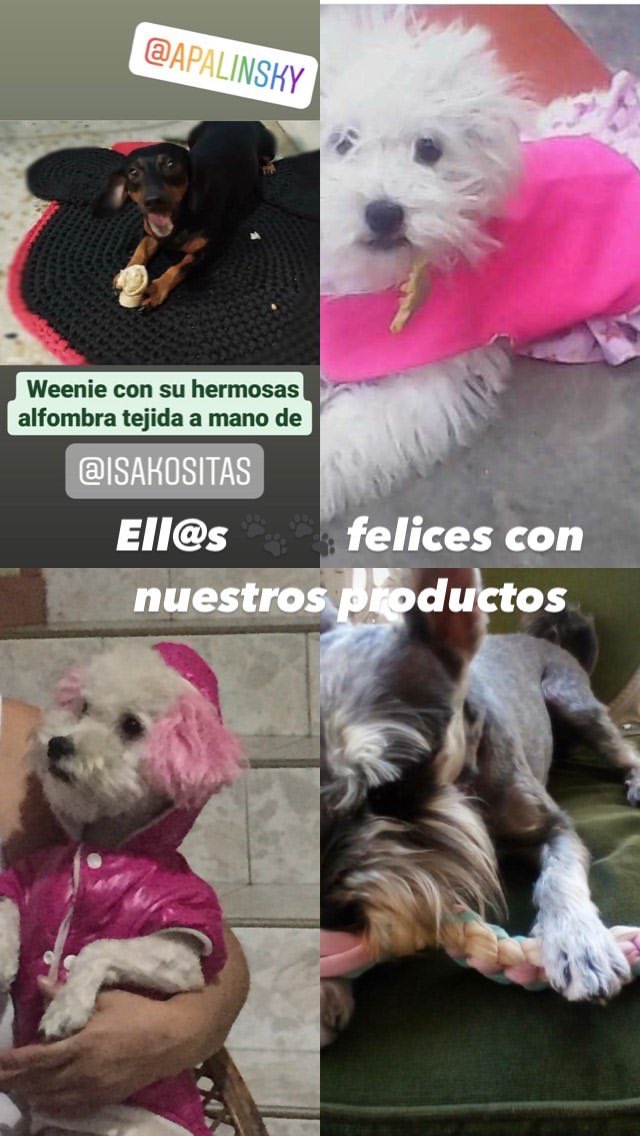 isakositas's tweet photo. @LucyPN Gracias @LucyPN por el apoyo. Nuestro emprendimiento consiste en diseñar y fabricar accesorios textiles para mascotas. Estamos ubicados en Barquisimeto, y pueden contactarnos por Ig @isakositas. Nuestros productos son hechos con ♥️ para quienes nos aman incondicionalmente 🐾 https://t.co/voehQmR6mY