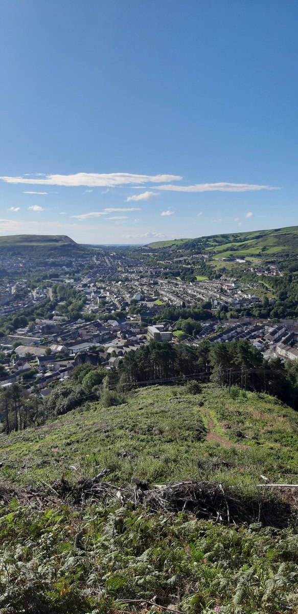 Neil Davies tweet media