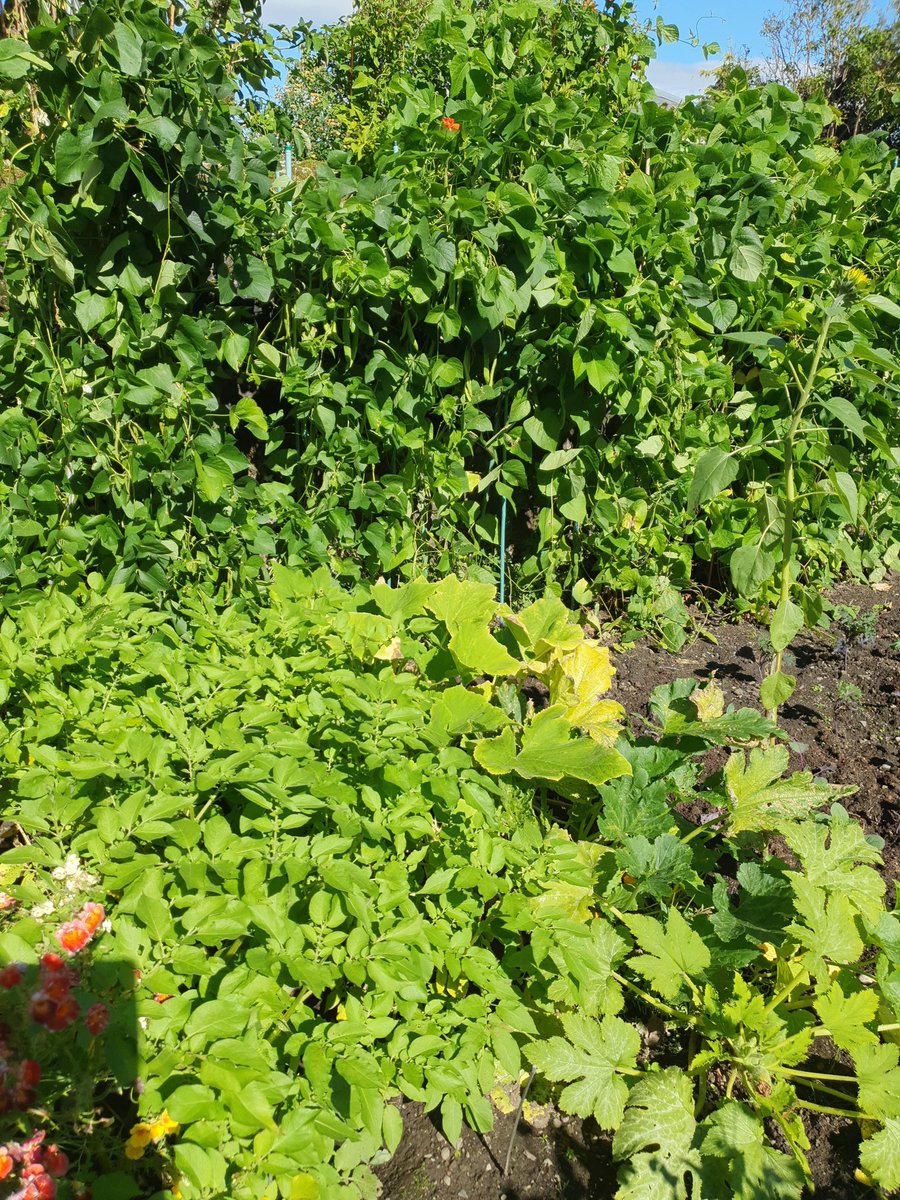 Leigh Sparks tweet media