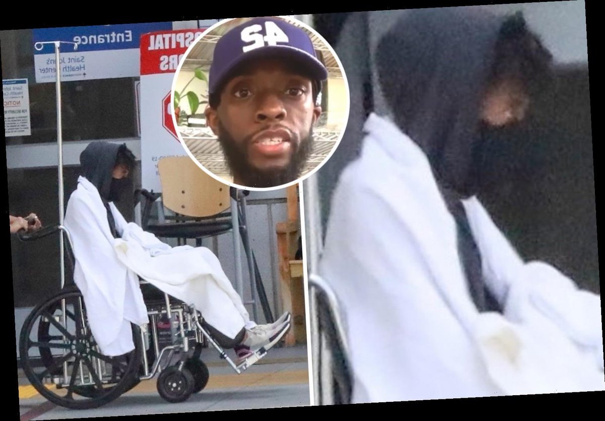 Aboki Saas 🔫 💣 🔪 tweet media