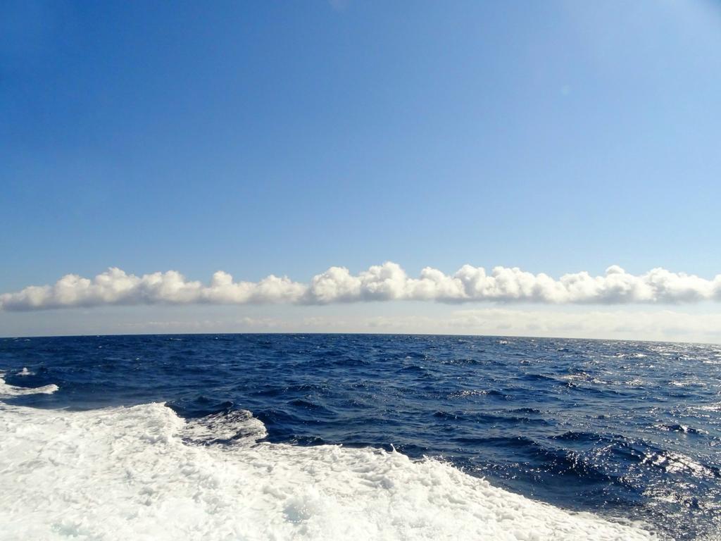 BeeRossana's tweet photo. Di quella volta che le nuvole
correvano lungo l'orizzonte
incorniciando il mare 🌊⛵☀️☁️

#AmoLaFotografia
@CasaLettori 
#casalettori

Portofino
#Portofino https://t.co/saW05oPDkc