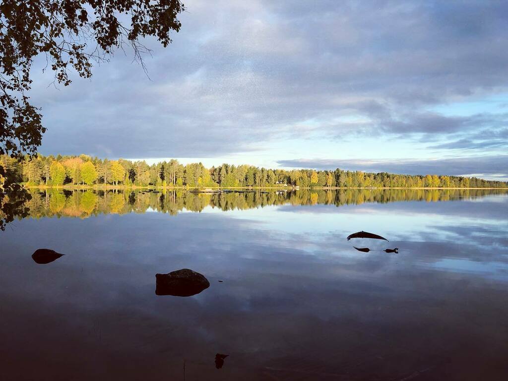 slustudyforests's tweet photo. We are eager to welcome the new Forest Ecology and Sustainable Management MSc students to the start of their first term at SLU Umeå.

We will begin with ‘Roll Call’ on Monday, September 1st at 09:00 in P-O Bäckströms sal (lecture hall). WELCOME!

#slustu… https://t.co/J6j03ND0Ga https://t.co/np7soRjfS3