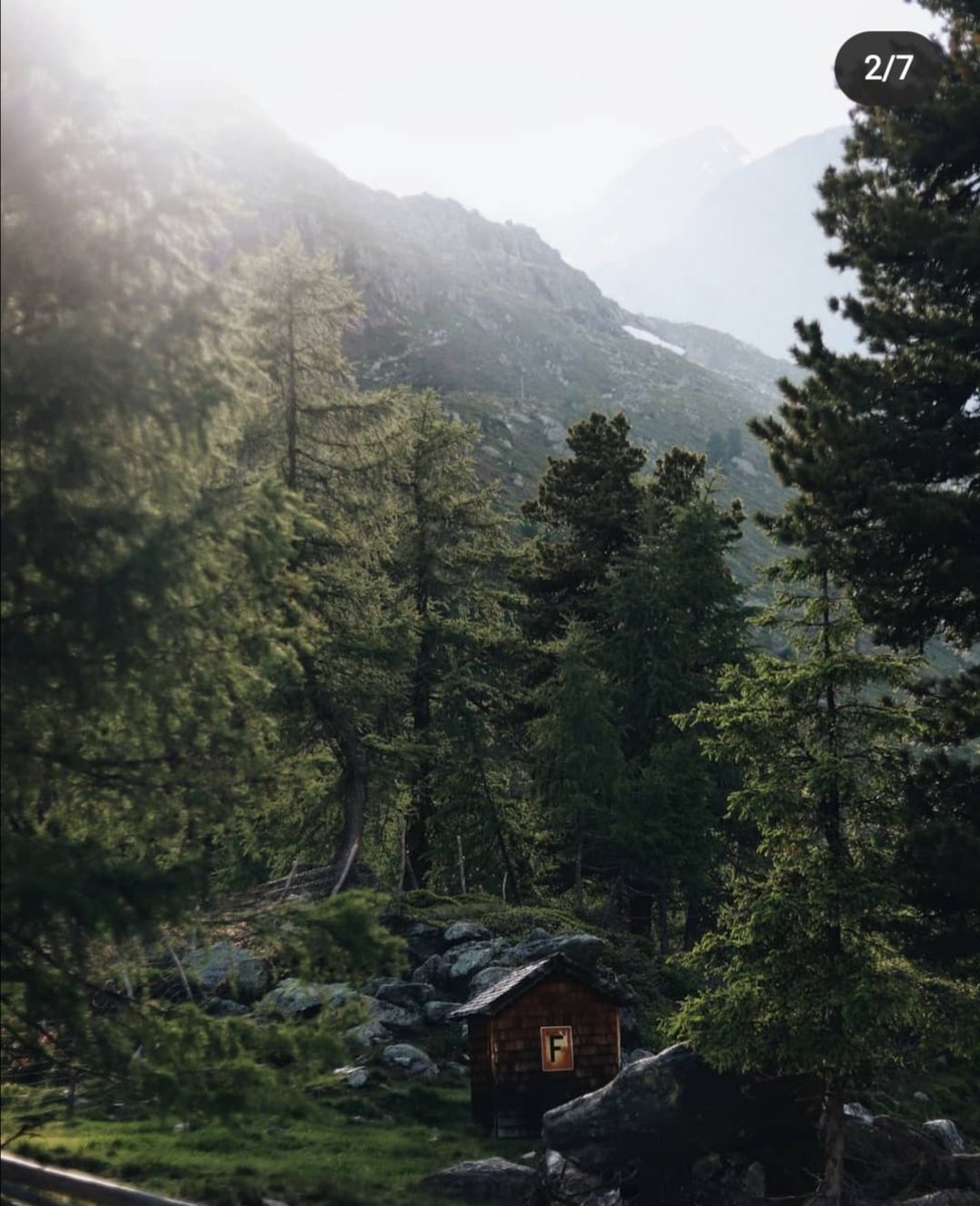 TimeFox9's tweet image. Лето в Альпах🌿⛰️

#хюгге #деревенское #мойдом #альпы