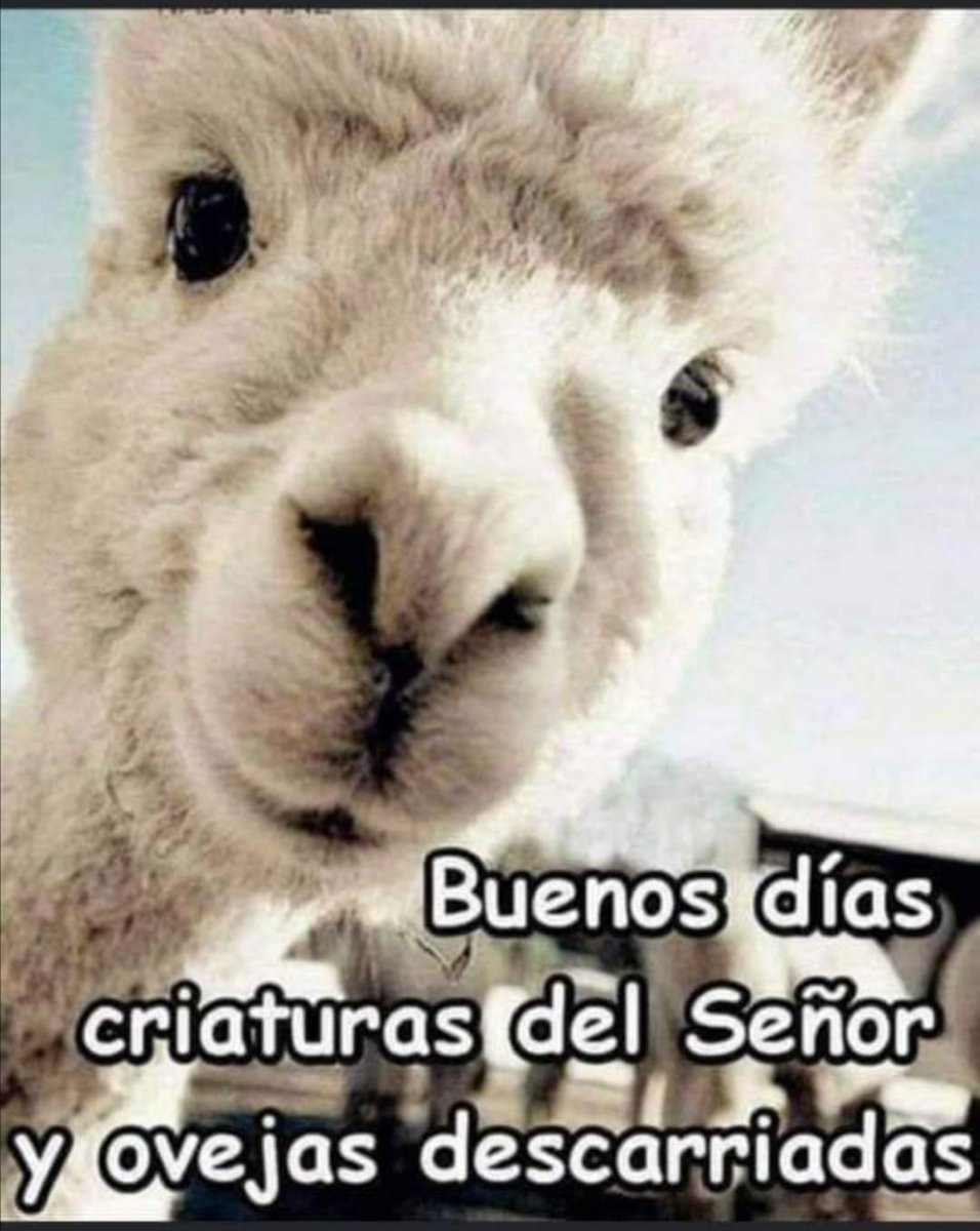 Tarjeta de buenos días con conejo y taza Vector de stock por  ©i.boiko08.gmail.com 174264492, image size:956x1200