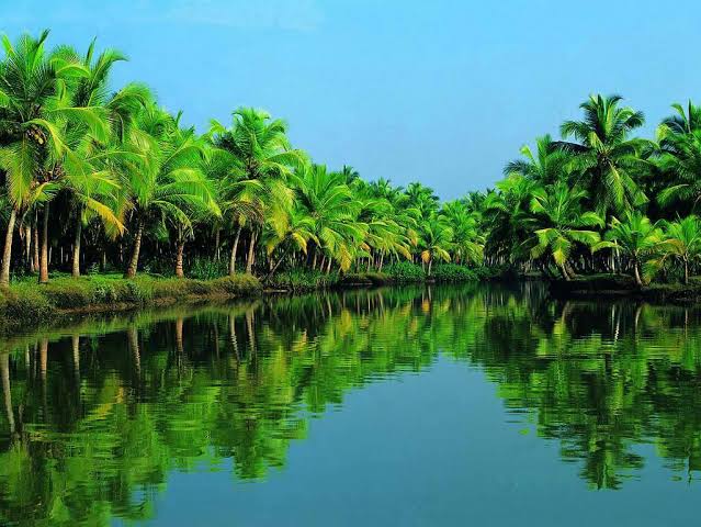 Ānupa desha has marshy & humid climate & is near the sea level with coconut trees, lakes & rivers. People residing here are mostly delicate and more prone to illnesses as a result of weak digestive strength. Goa, Konkan, Some parts of South India fall under this category.