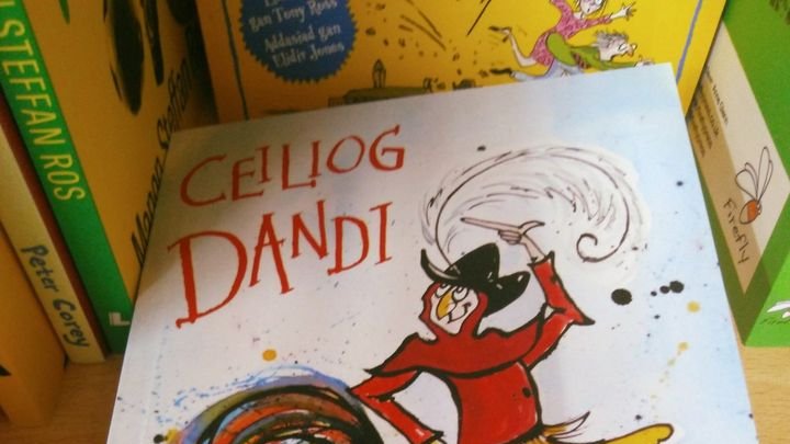 "Ceiliog Dandi" Daniel Davies 🕺
Golwg newydd, hwylus a doniol, ar fywyd Dafydd ap Gwilym - i'r ifanc a'r hen! Ar gael yn Siop Tŷ Tawe