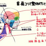 整体行って色々わかった。「首コリ・肩こり」ほぐすべき場所はここ。