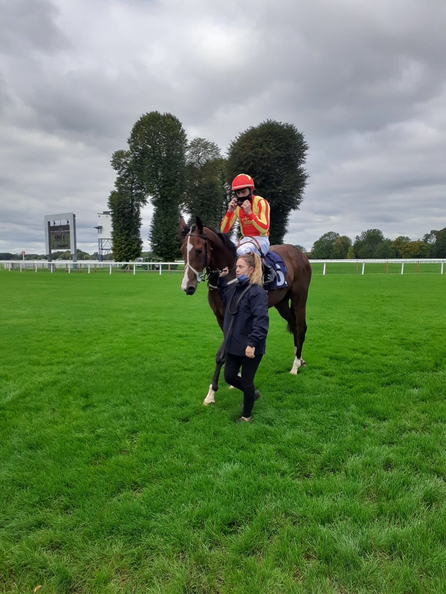 jrmillman's tweet photo. Winner #12 - ONARAGGATIP

Hopefully the start of a good day as Onaraggatip finally shows his homework on the track here at Windsor https://t.co/7GLKxAHY58