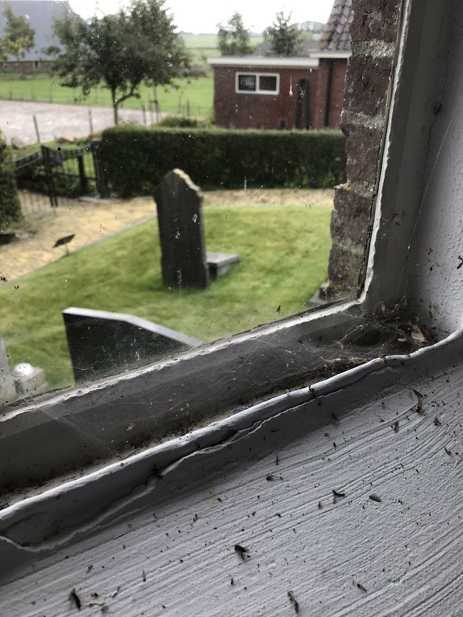 Wannear de minsken net mear yn tsjerke komme, nimt de spin it oer. @AldeFryskeTsjer #Foudgum 🕷🕷