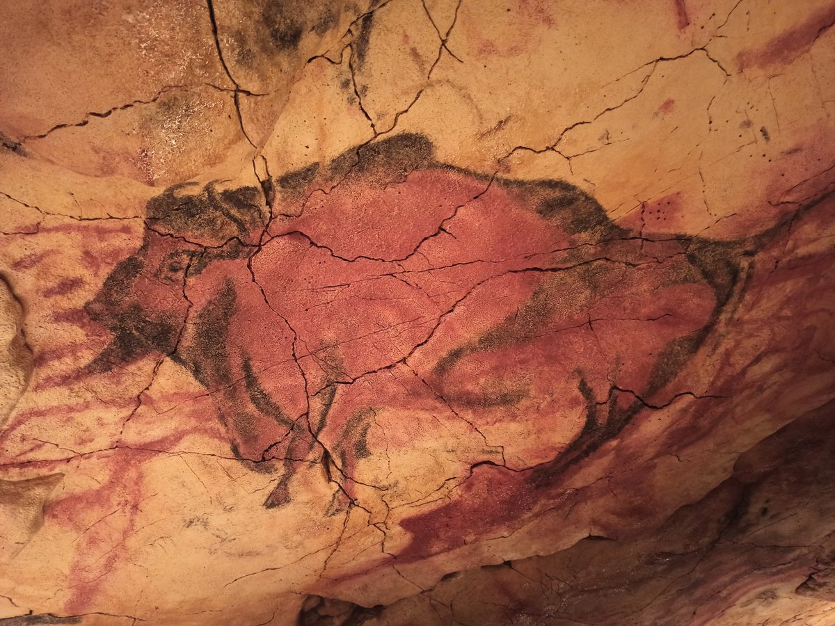 ABallestinR's tweet photo. "Parecía que las rocas bramaban. Allí, en rojo y negro, amontonados, lustrosos por las filtraciones de agua, estaban los bisontes, enfurecidos o en reposo. Un temblor milenario estremecía la sala (...) Mugían solas, barbadas y terribles bajo aquella oscuridad de siglos" R.Alberti https://t.co/LrbTahJfcL