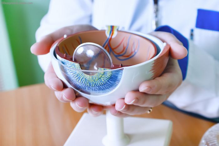 Ophthalmology Times tweet media