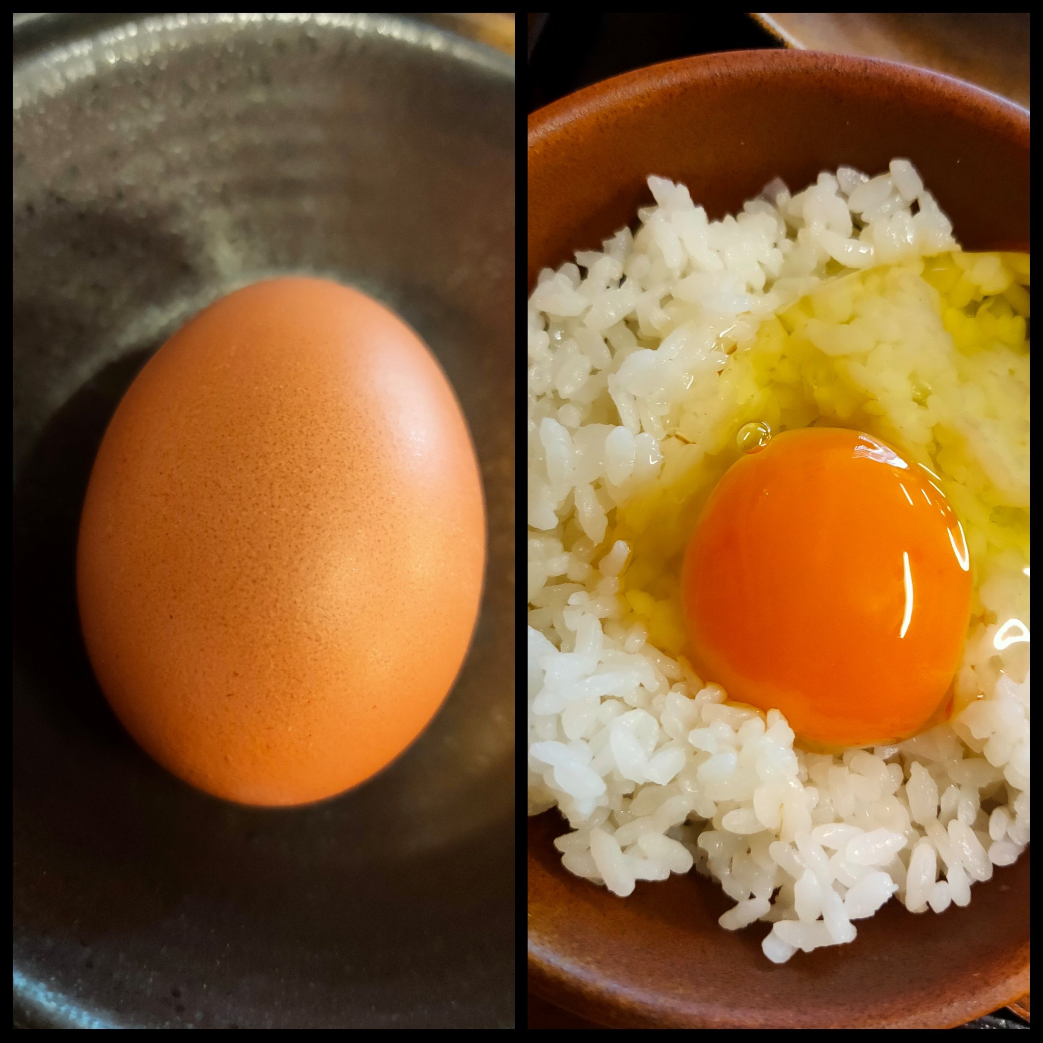 李徴子 一膳目 ゆうやけ卵 箸でつつけば押し返されるほどに濃厚な味わい 名の通りに夕焼けの様な色合いの黄身が美しい逸品 二膳目 お米卵 なんと驚きの黄身が白い卵 通常の卵に比べコレステロールが1 3ととってもヘルシー あっさりとしているのに
