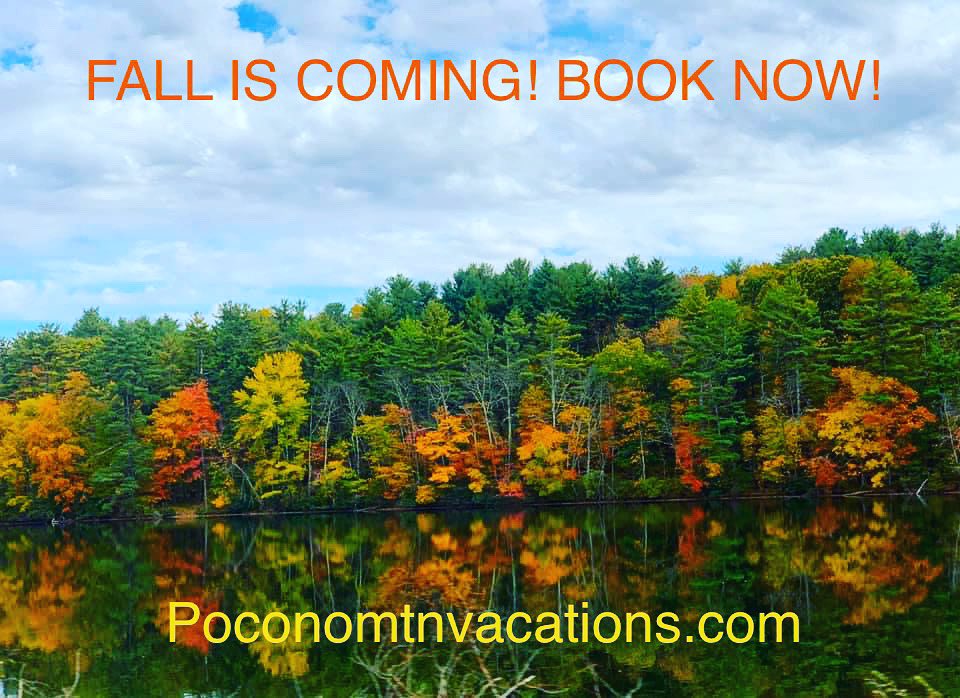 MountainPocono's tweet photo. Fall is coming!  Have your booked your Poconos vacation? 
https://t.co/TXknnCfgMW

#poconomtnvacations #poconos #airbnb #barrett_pa_airbnb #poconosweekend #poconomtns #poconomountains #nepa #nature #pennsylvania #vacation #fallvacation https://t.co/kw6Iaoiklw