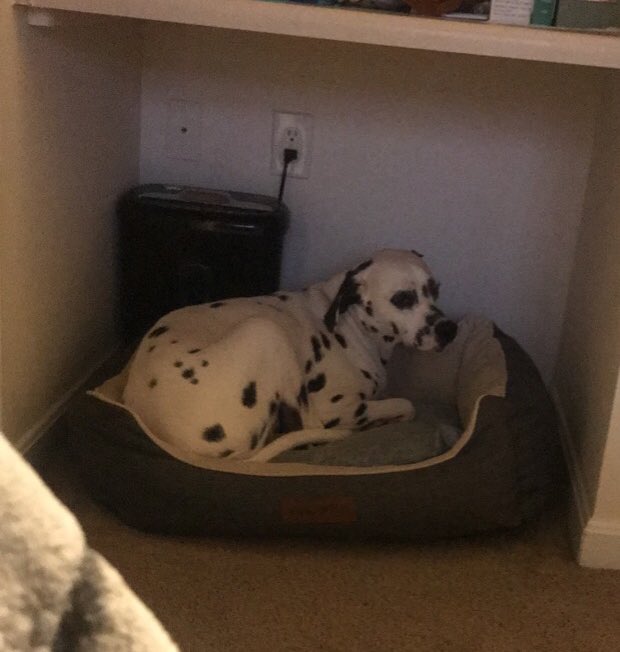 dippythedally's tweet photo. Waiting for this storm to pass https://t.co/O0kvFg1TAN