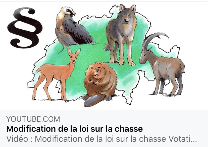 VSohne's tweet photo. Le #conseiller #fédéral #Sommaruga a très bien placé le #cœur du #problème, l'aide aux #êtres #humains directement touchés. Beaucoup de ceux qui n'ont pas encore formé leur opinion ont été #convaincus d'introduire un %OUI #loi sur la #chasse.
https://t.co/1PaU5Sy9K2 https://t.co/s9JPHumjXi