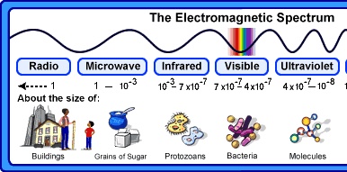 Spencer realised that somehow the microwaves which are a specific band of electromagnetic waves used for defence communication, interacted with food at a certain power and heated it up!!