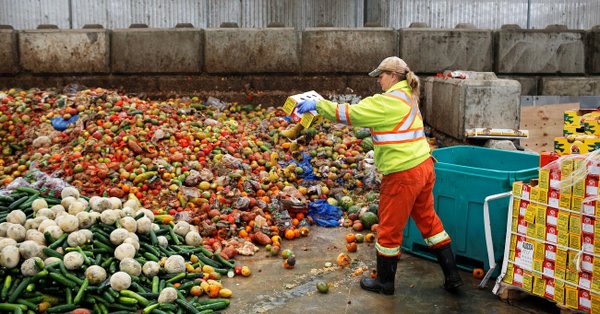 Hunderte Millionen Menschen ...

... müssen ww hungern, weil die Ernte in der industr. landwt. Produktion nur zu 14 % den Lebensmitteln dient+davon auch noch rund 1/4 nutzbarer Lebensmittel weggeworfen werden. Keine Förderung für ökolog. Selbstversorgung.

forum-generationen-zukunft.de