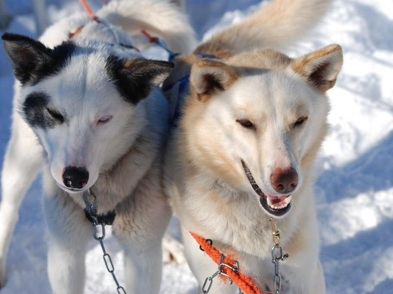 Wintersport in Noorwegen vanaf Groningen Airport >
facebook.com/kloosterreizen…