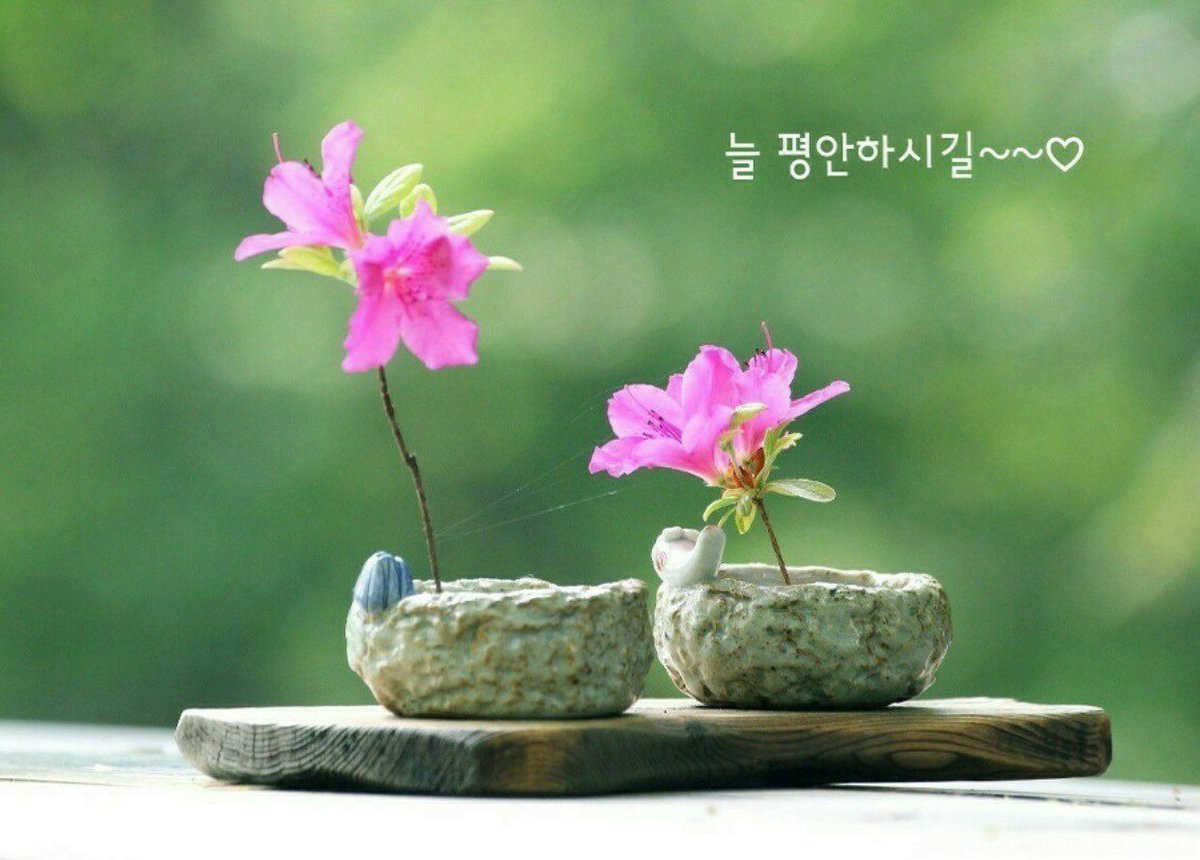 배워서
남 주냐는 말이있다

이제
바꿔라

배워서 남줘라
혼자 가질거면 공부하지마라

혼자서 행복한건
진짜 행복한게 아니다

함께 행복해야 진짜 행복이다