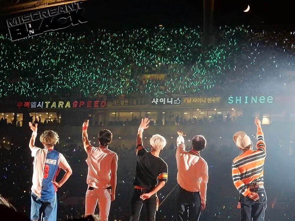 [thread]SHINee & Shawol messages to each other a thread to read/watch when you are missing shinee