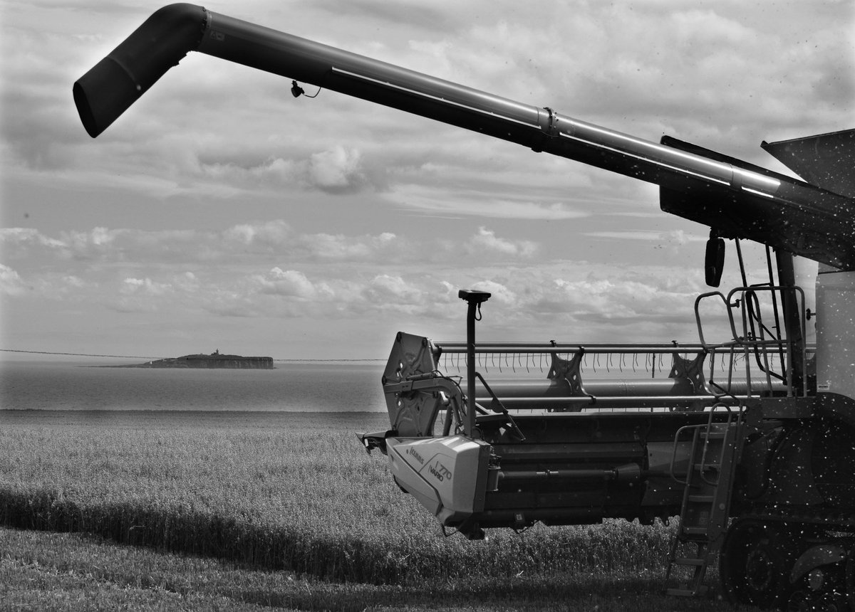 Thanks to Andrew Watson for popping out to take some harvest snaps last week #harvest2020