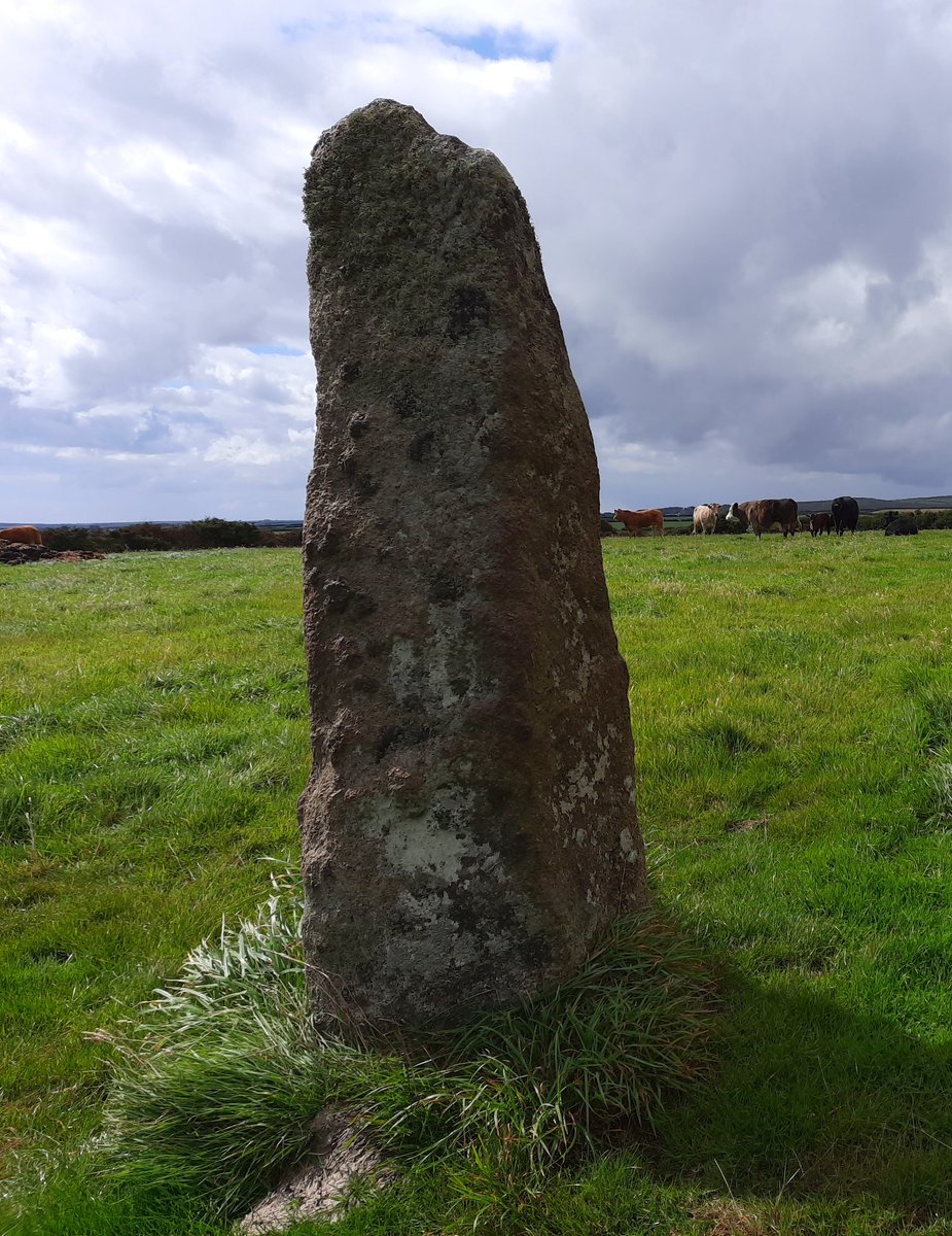 Trewern Standing Stone, a lesser-known but lovely old stone under Trengwainton Carn, nr Madron. Once part of a pair (see 1695 Borlase sketch) with a grave between the two. Possibly a stone row once.Private land, so please ask for permission at the farm. #PrehistoryOfPenwith