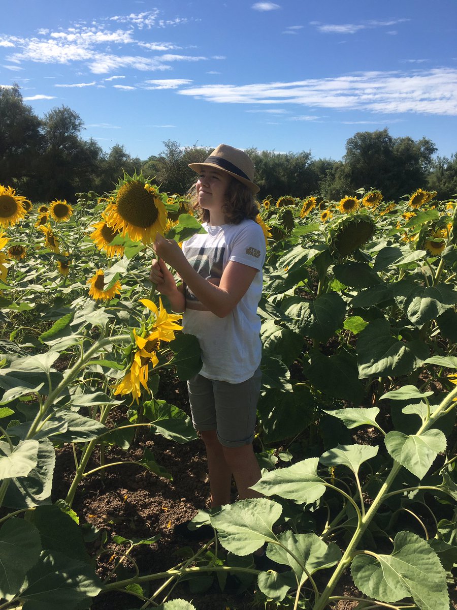 emma_morley53's tweet photo. @sophie_sierra We did too!! 🌻 https://t.co/y8rWZyCWP0