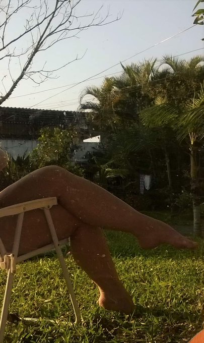 Bom dia meus amores!!! https://t.co/V4LnLx7LWC