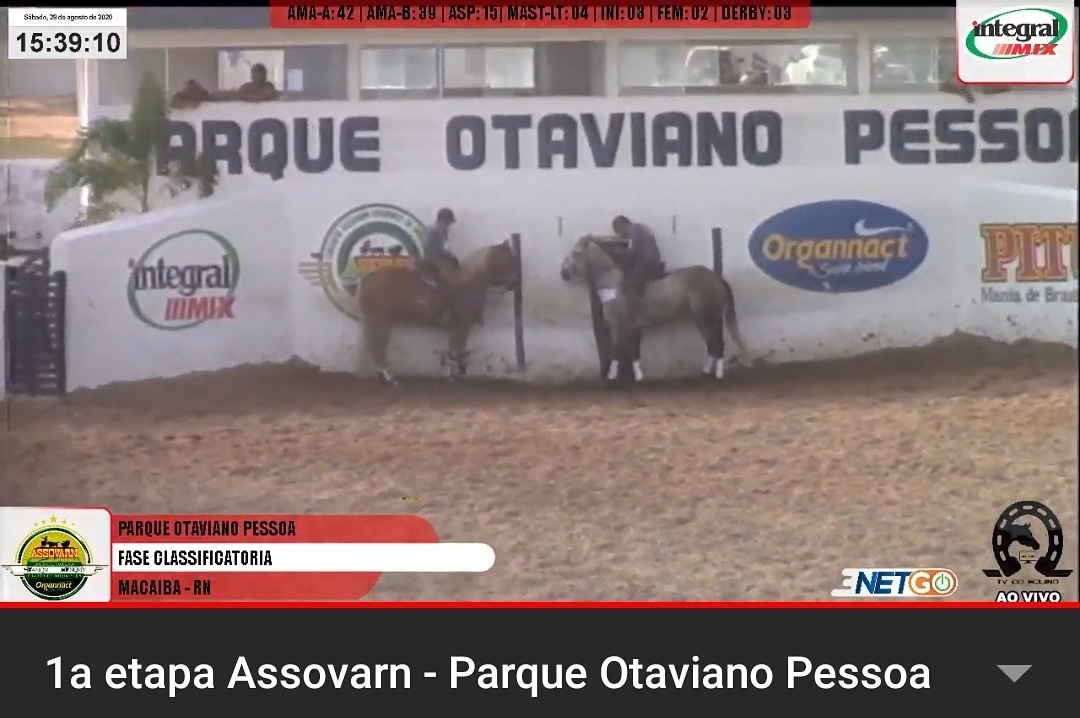 portaldoequino's tweet image. Continua a 1a etapa @assovarn no @oficialotavianopessoa em Macaíba/RN

Assista ao vivo: tvdoequino.com.br

#Assovarn
#ParqueOtavianoPessoa
#VaquejadaDeMacaiba
#VaquejadaAoVivo
#PortalDoEquino