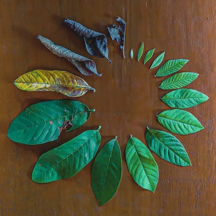 Afrahbinthahir's tweet image. இருப்பதைக்கொண்டு இன்பமாக வாழ்ந்திடுவோம்..

வாழ்வு அது அப்படித்தான்.