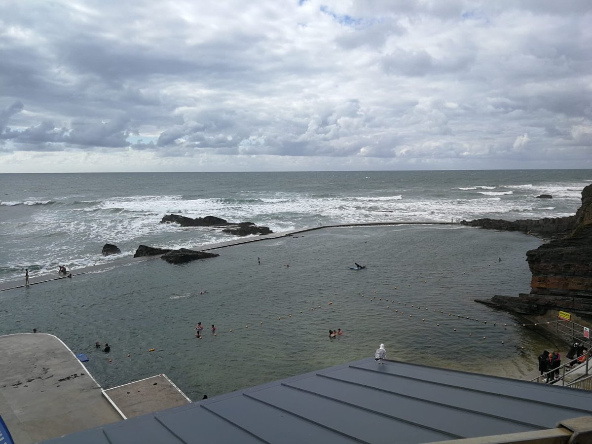 Sarah Thomas tweet media