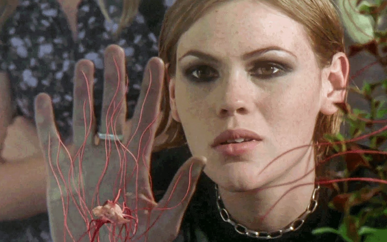 Happy Birthday to Clea DuVall! The Grudge  