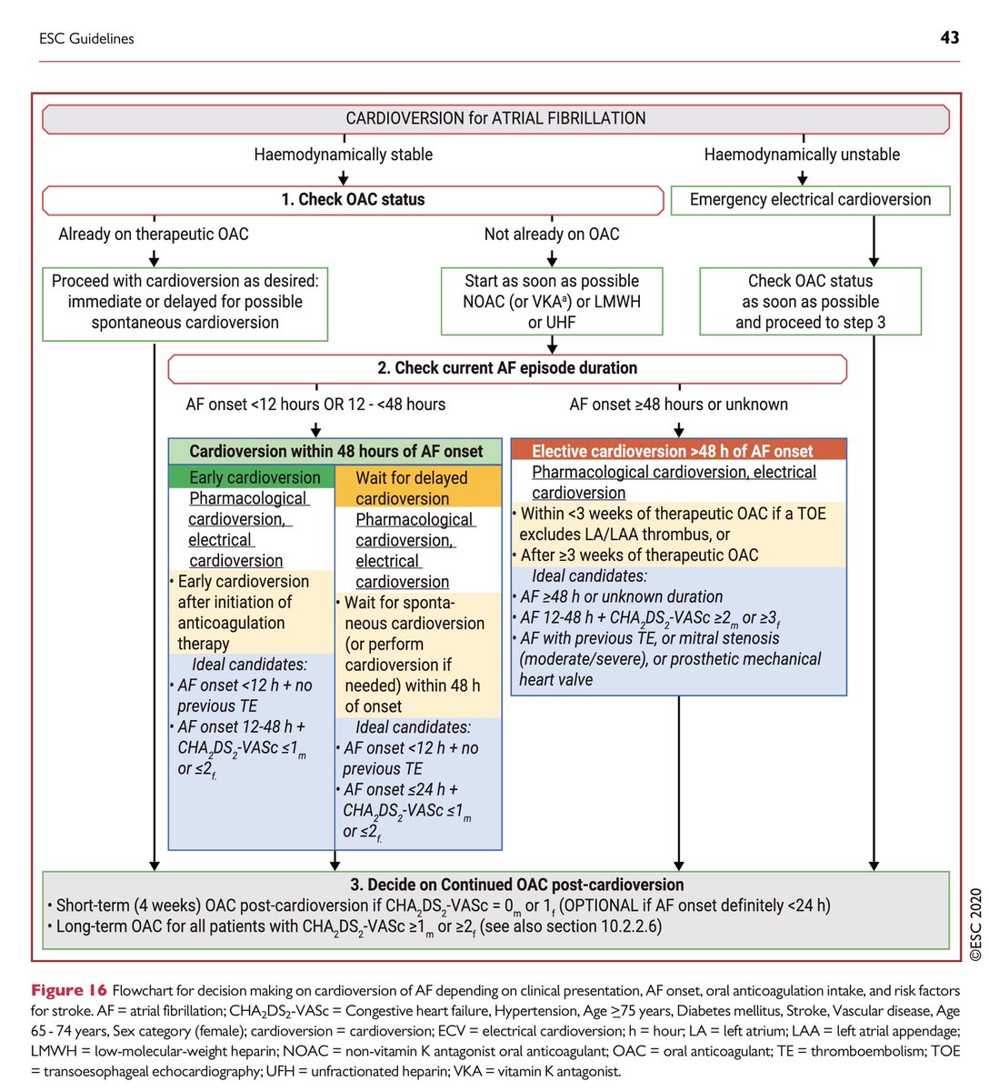 Asociación del Ritmo Cardiaco (@ritmo_sec) on Twitter photo Guía clinica sobre diagnóstico y manejo de la fibrilación auricular #AFib 2020 de <a href="/escardio/">European Society of Cardiology</a> publicadas hoy.
academic.oup.com/eurheartj/adva…
<a href="/secardiologia/">Soc Esp Cardiología</a> <a href="/blogarritmias/">Blog Arritmias ARC</a> <a href="/joselmerino/">Jose Luis Merino</a> Guía clinica sobre diagnóstico y manejo de la fibrilación auricular #AFib 2020 de <a href="/escardio/">European Society of Cardiology</a> publicadas hoy.
academic.oup.com/eurheartj/adva…
<a href="/secardiologia/">Soc Esp Cardiología</a> <a href="/blogarritmias/">Blog Arritmias ARC</a> <a href="/joselmerino/">Jose Luis Merino</a>