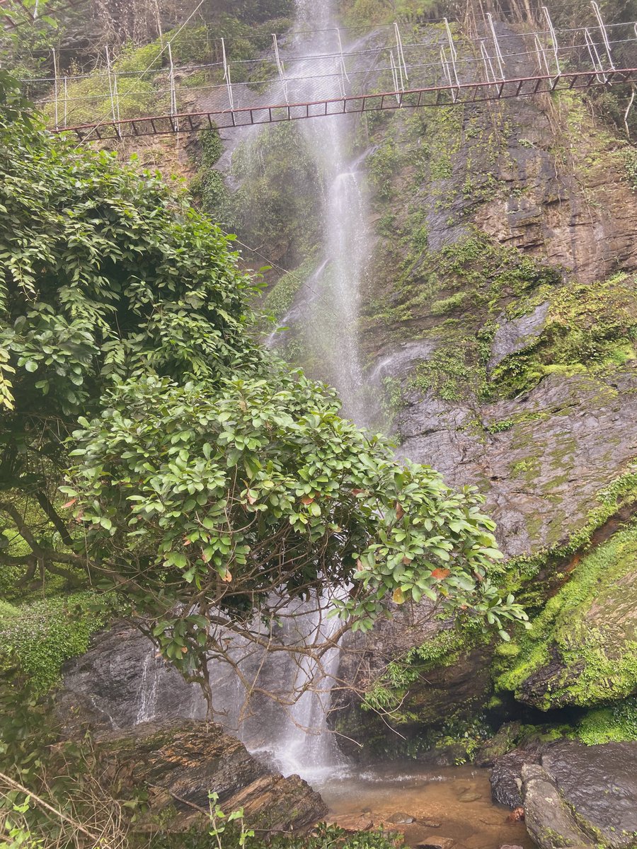 EkowBarnes's tweet photo. take a moment, sit back and take one deep breath with me. And just enjoy the ride πβ¨
#FramesOfLife #Ghana #Weekend #FreedomOfLiving https://t.co/cSKRspYpzK