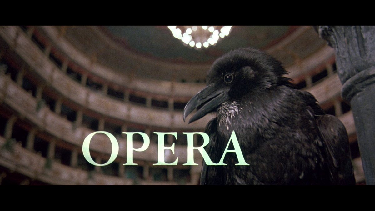 ǝoɔsoᴚ ǝʇɐN tweet media