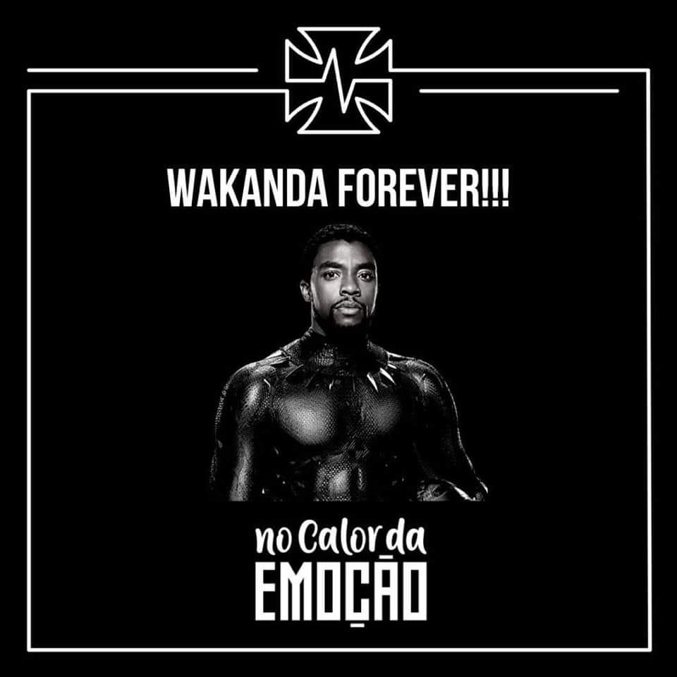 EmocaoNo's tweet photo. Nós que torcemos pelo time que lutou por negros e operários lamentamos a perda prematura do ator que deu vida nos cinemas ao personagem que representa a luta do povo negro no mundo dos super heróis. Enquanto o Vasco exsitir esse luta não será perdida. Wakanda Forever!!! https://t.co/YOGHbrpZS4