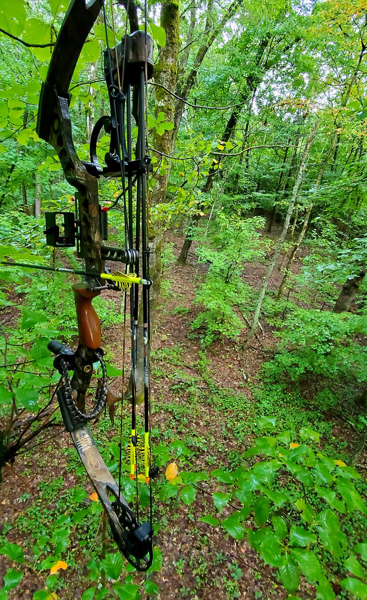 WadeTracy22's tweet photo. Nice morning after the rain #velvethunt2020 https://t.co/YLTNphf6fe