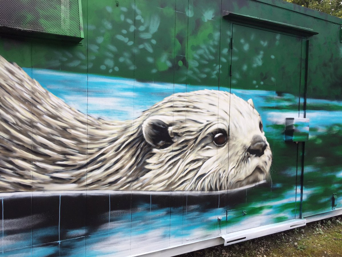 MuckhartDave's tweet photo. New mural @RSPBScotland Baron’s Haugh is taking shape!! Can’t wait to see the finished article. https://t.co/RlDPre1azL