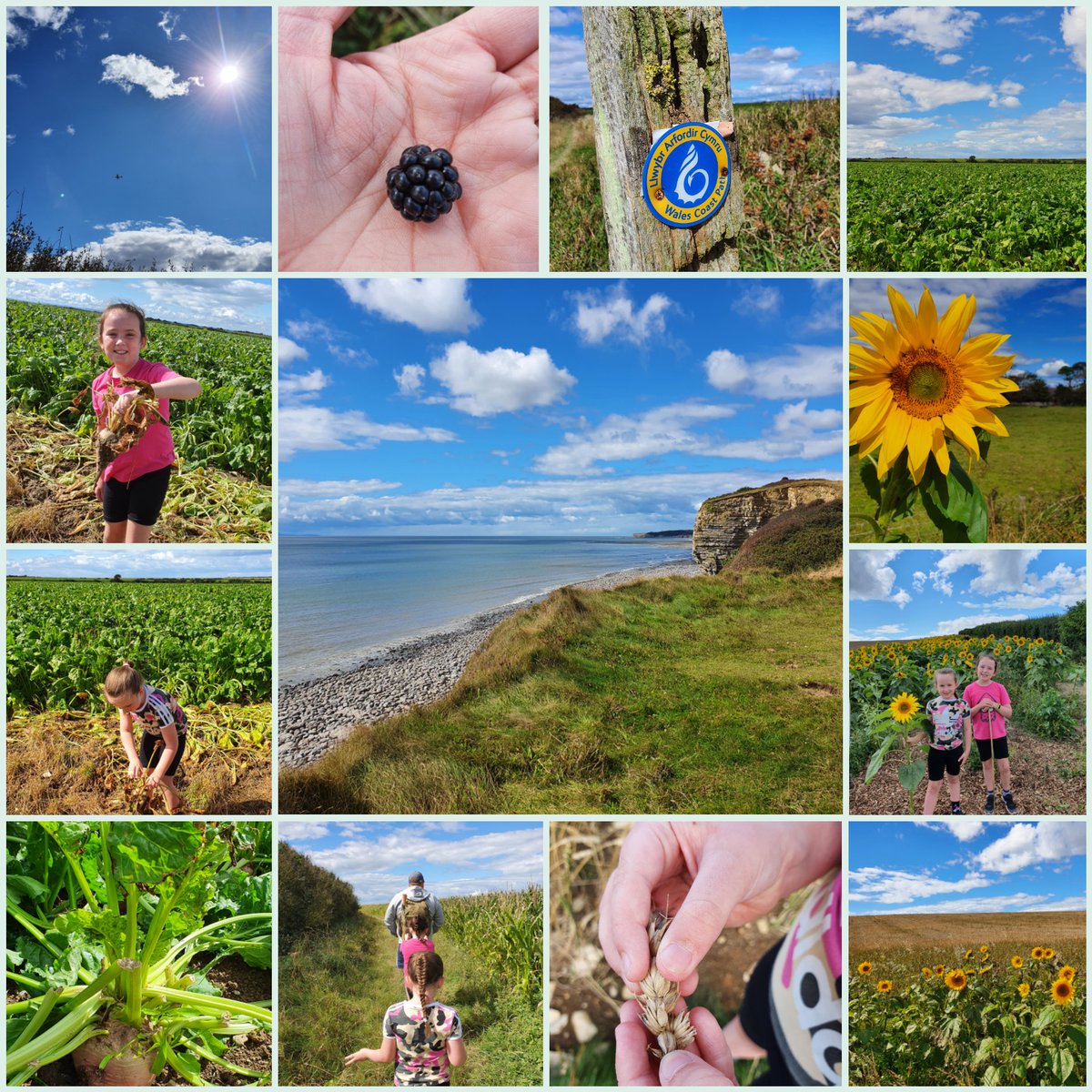 SarahDimech85's tweet photo. What a beautiful walk... #WalesCoastPath #KidsExploring #Nature #InquisitiveMinds https://t.co/hfwqLBcUkA