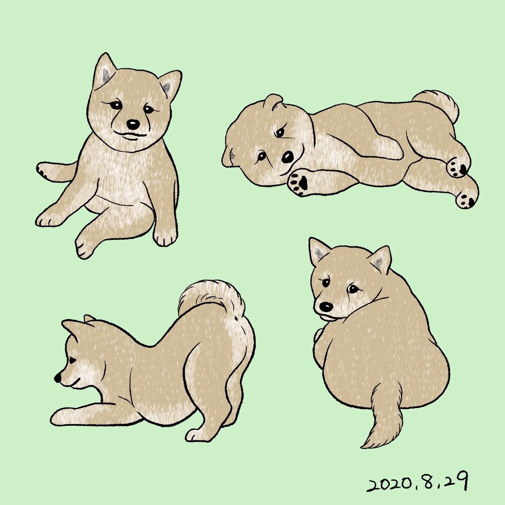 Chippoke ようこ En Twitter 犬絵 66 柴犬の子犬 デジタル絵画 デジタルイラスト イラスト 犬イラスト 犬の絵 犬 柴犬 しばいぬ しば 豆柴 豆柴子犬 柴犬子犬 柴子犬 Chippoke犬絵